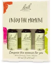 Bach Remedy Kit Enjoy The Moment 3 X 10ml