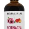 Botanicals 4 Life Echinacea & Acerola Extract 100ml