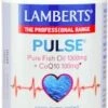 Lamberts Pulse Pure Fish Oil 1300mg And Coq10 100mg 90 Capsules