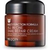 Mizon All In One Snail Repair Cream 75ml