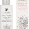 Odylique Purifying Lemon & Tea Tree Wash 200ml