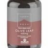 Terranova Olive Leaf 450mg 50 Pack